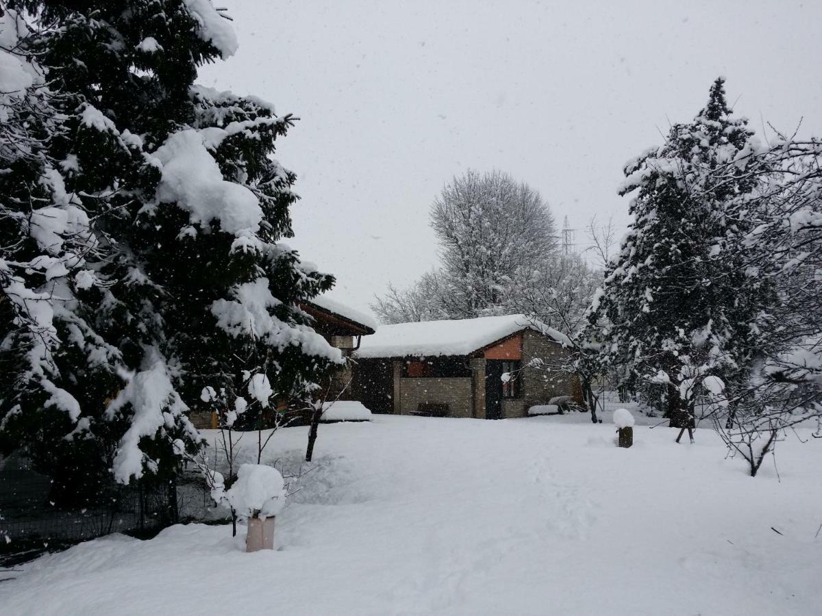 R&B Albero Cavo Parma Bed & Breakfast エクステリア 写真