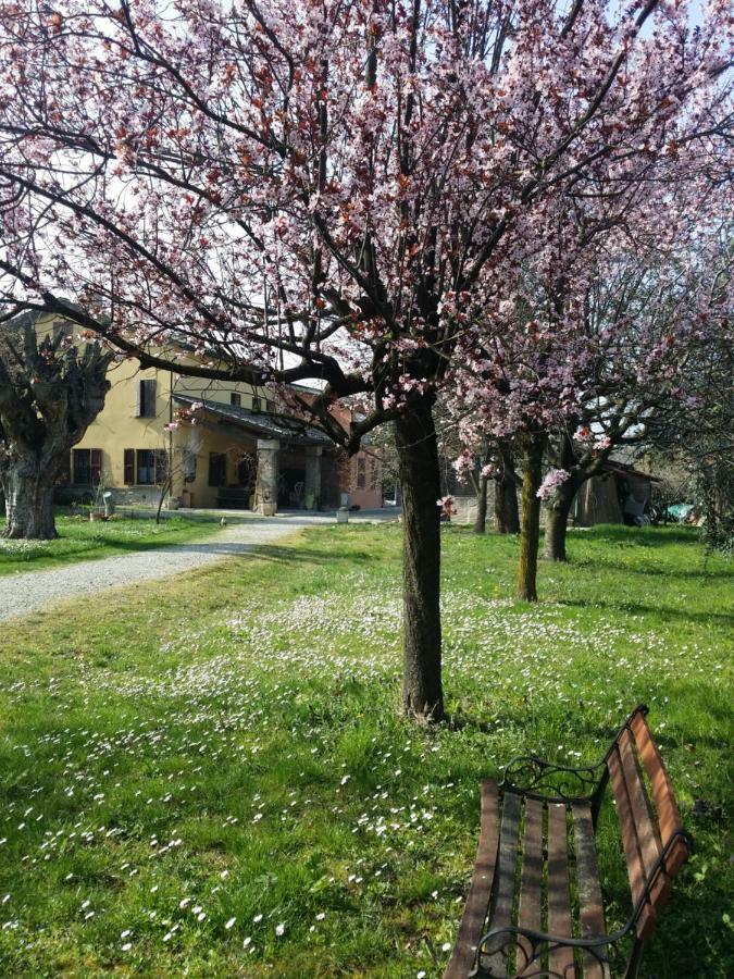 R&B Albero Cavo Parma Bed & Breakfast エクステリア 写真