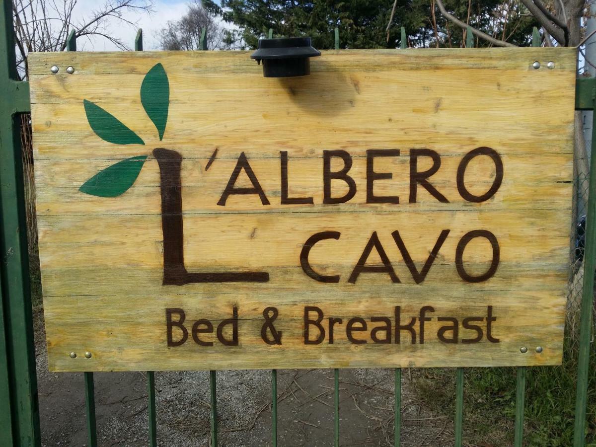 R&B Albero Cavo Parma Bed & Breakfast エクステリア 写真