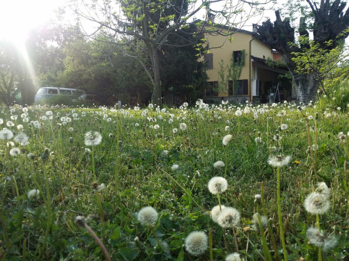 R&B Albero Cavo Parma Bed & Breakfast エクステリア 写真