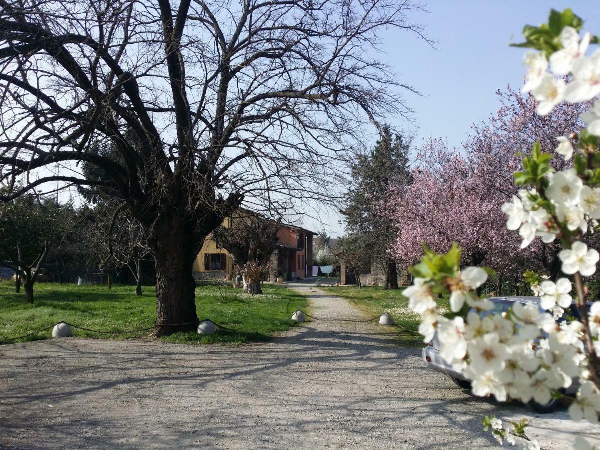 R&B Albero Cavo Parma Bed & Breakfast エクステリア 写真